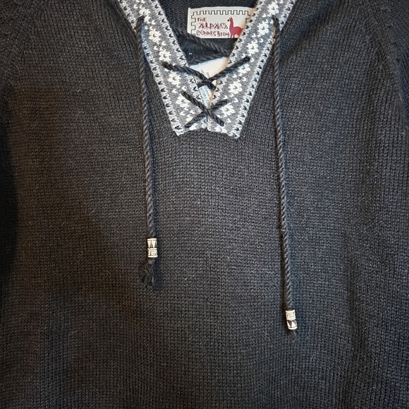 The Alpaca Connection Hooded long sleeve Sweater Size Small NWT - Picture 5 of 9
